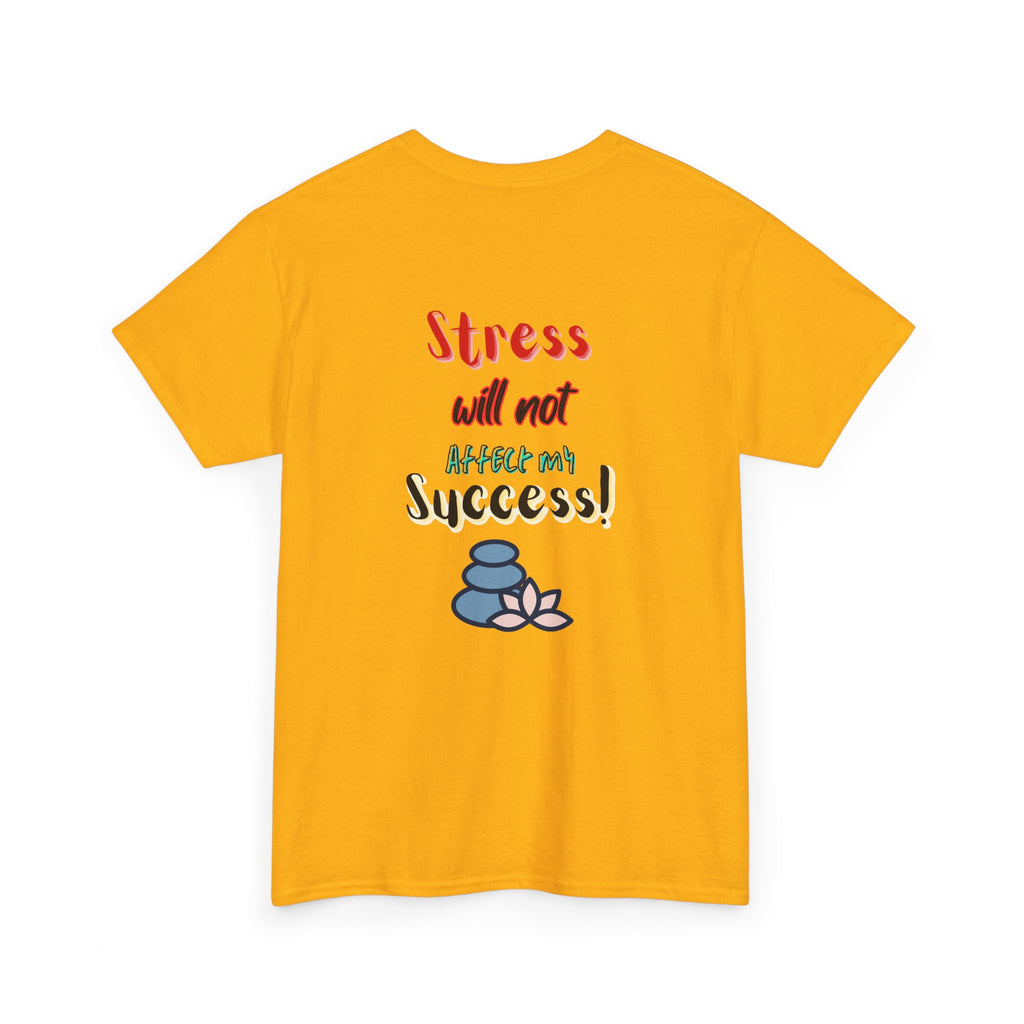 SUCCESSFUL NOT STRESSFUL
