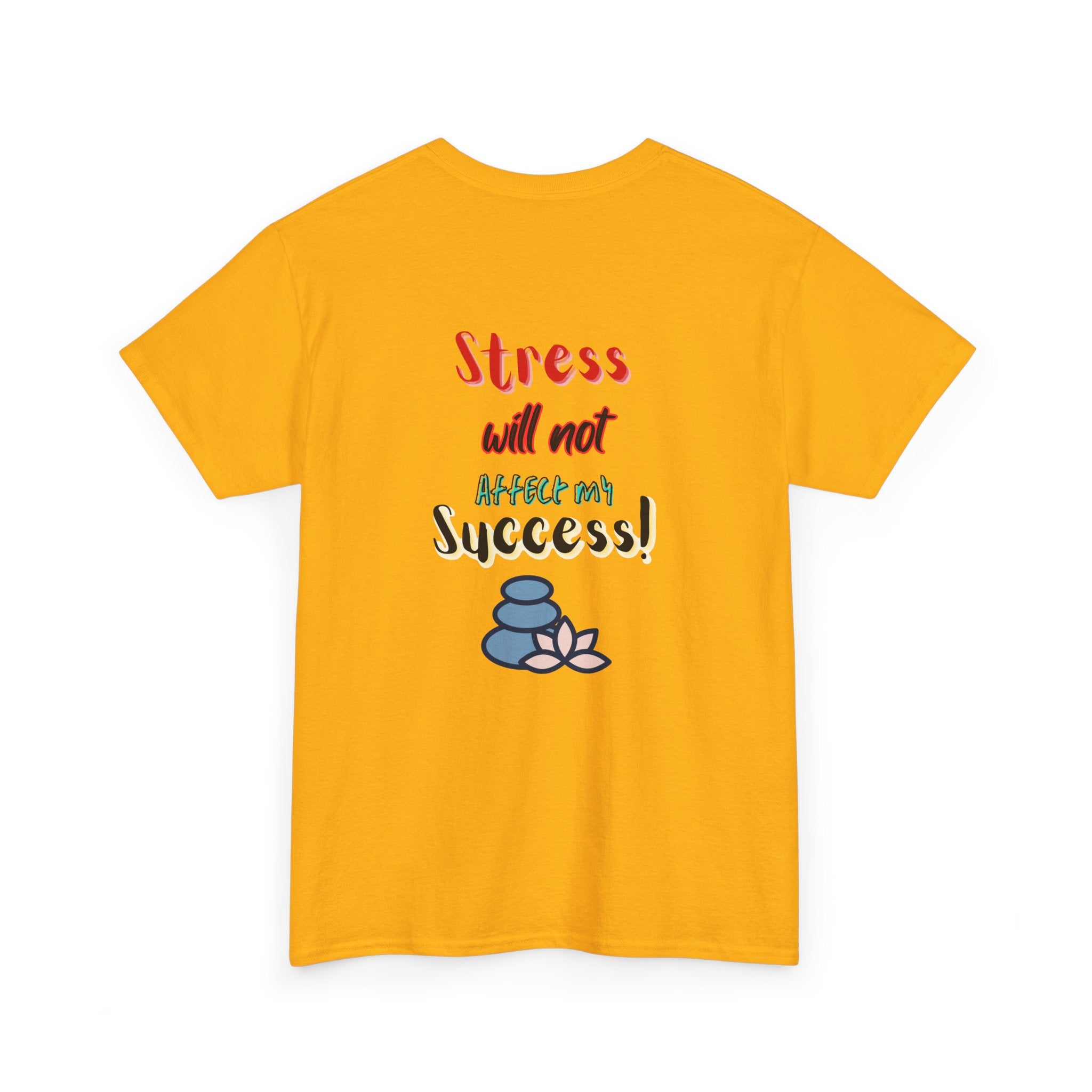 SUCCESSFUL NOT STRESSFUL