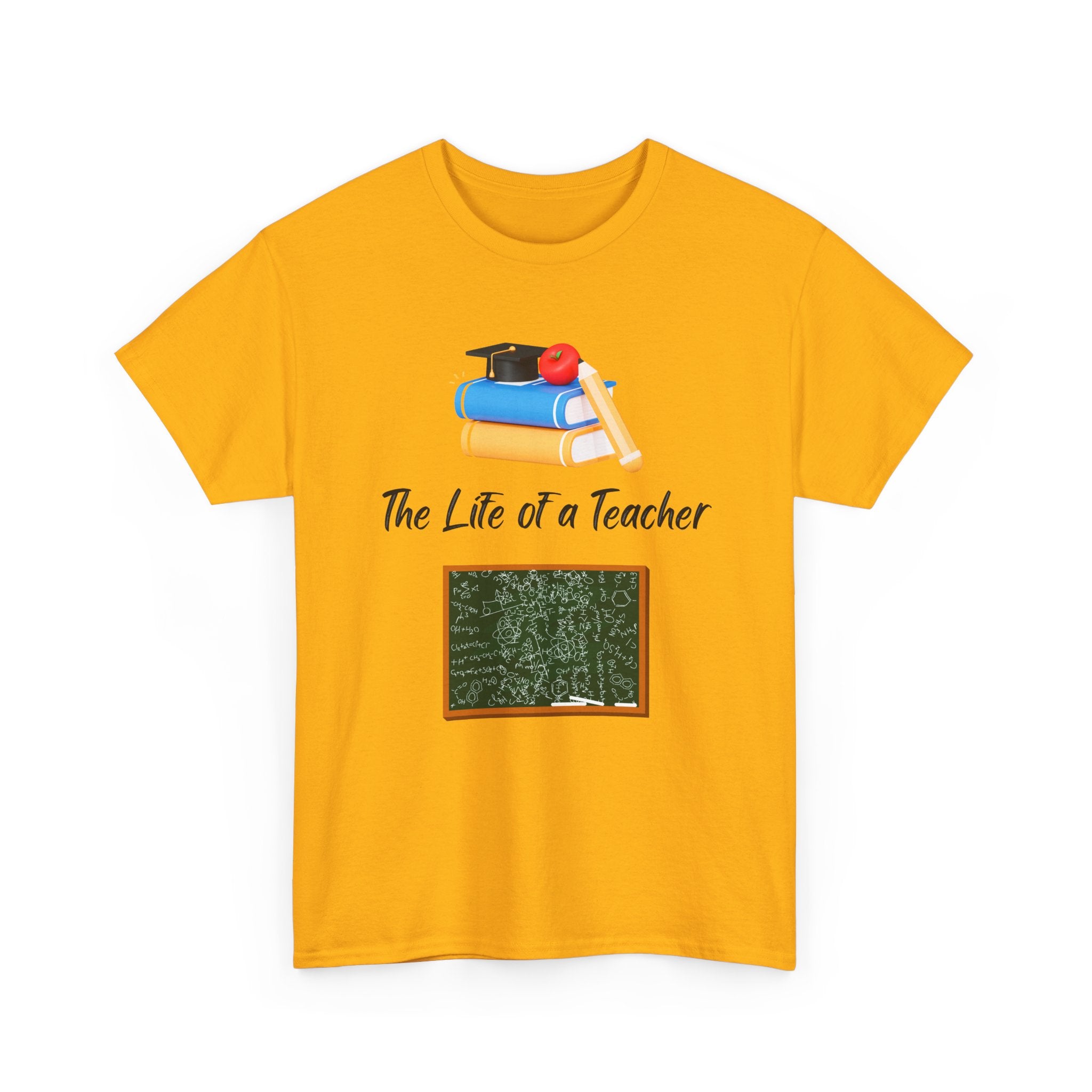 THE LIFE OF A TEACHER
