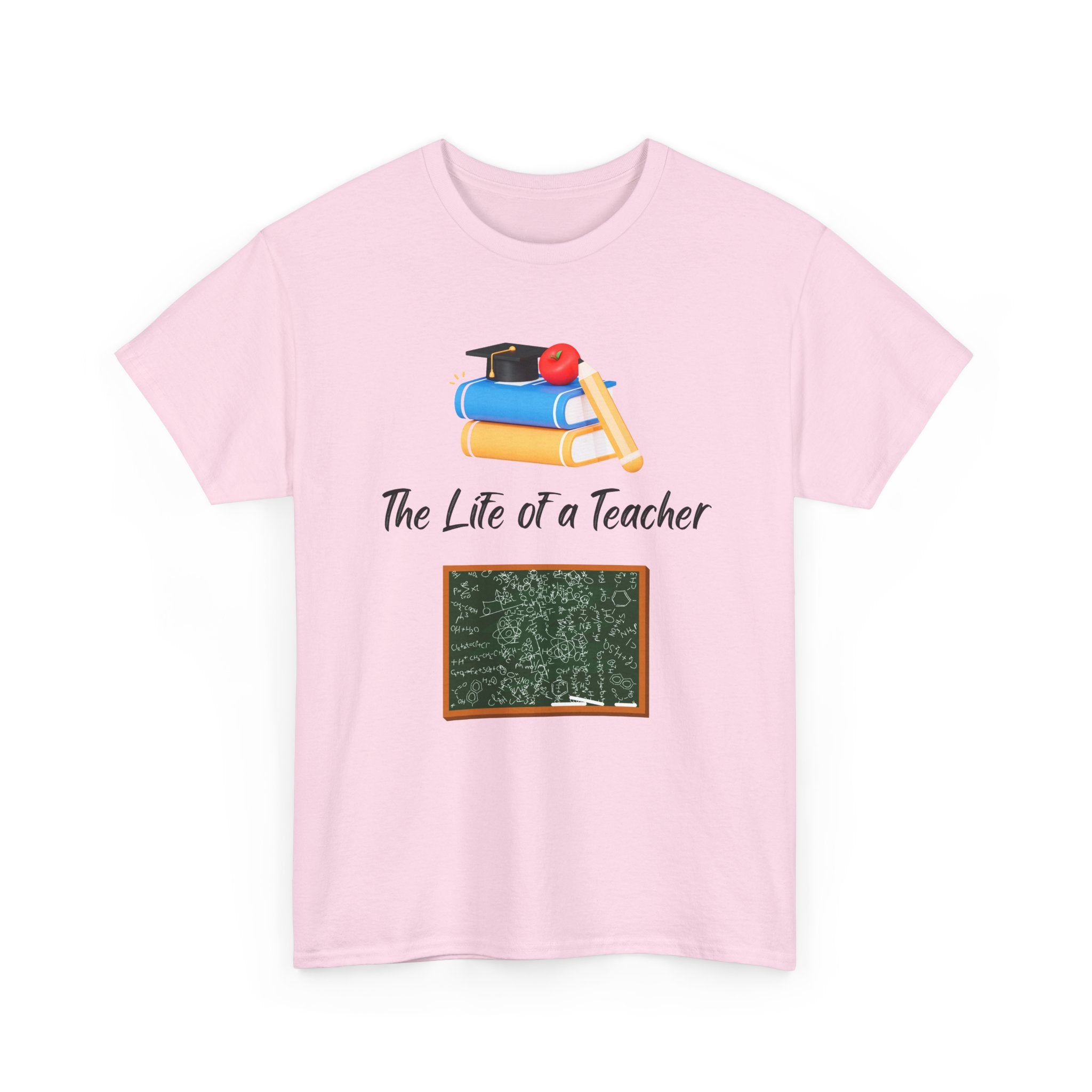 THE LIFE OF A TEACHER