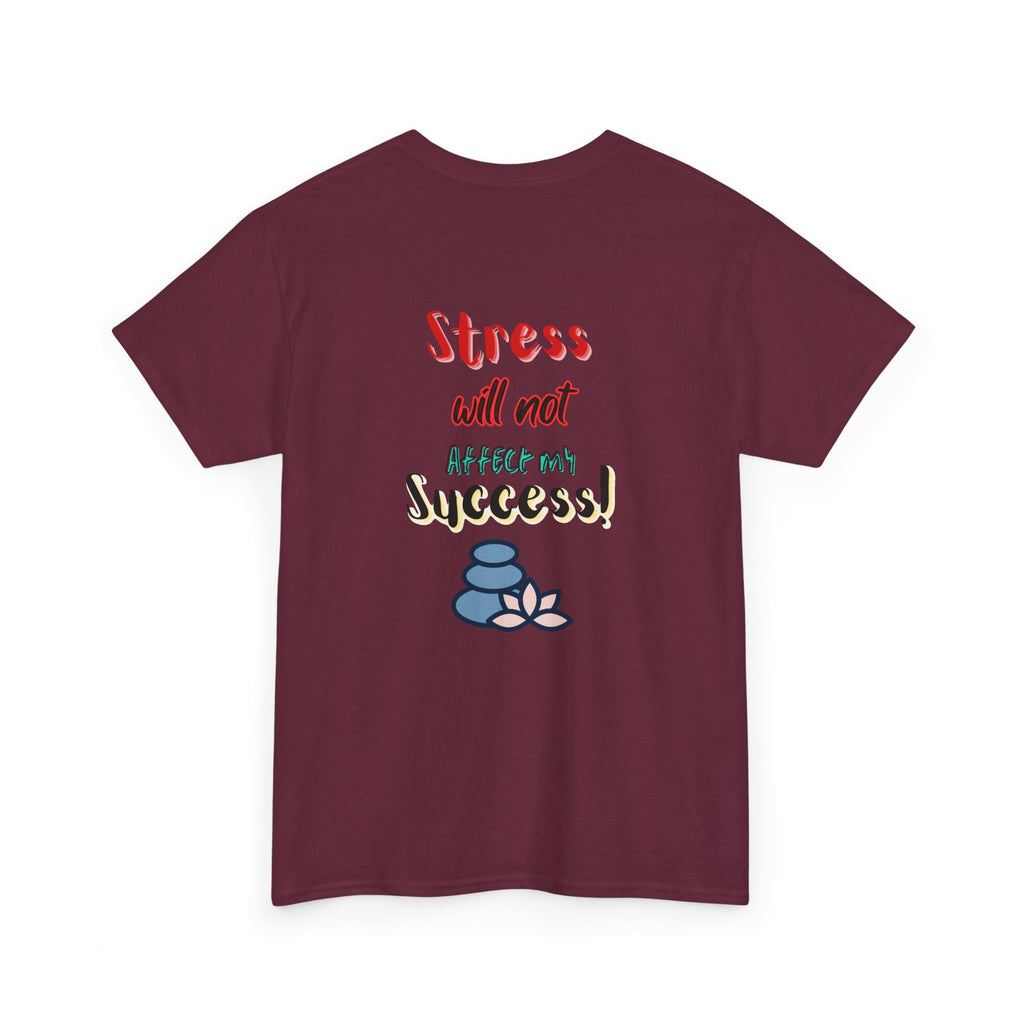 SUCCESSFUL NOT STRESSFUL